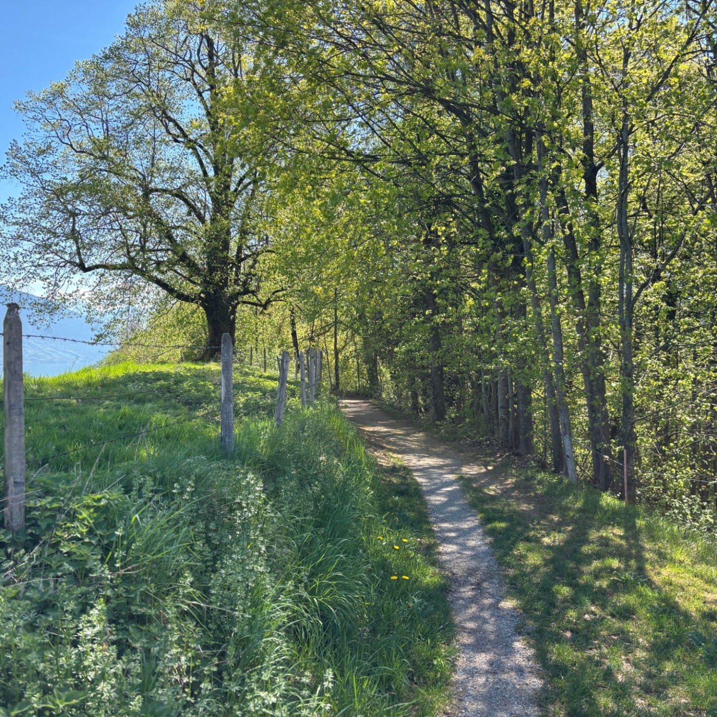 WhatsApp Image 2026-04-20 at 00