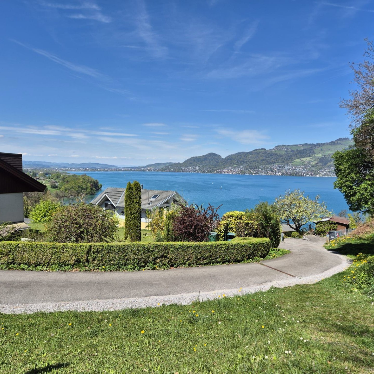 WhatsApp Image 2026-04-20 at 00