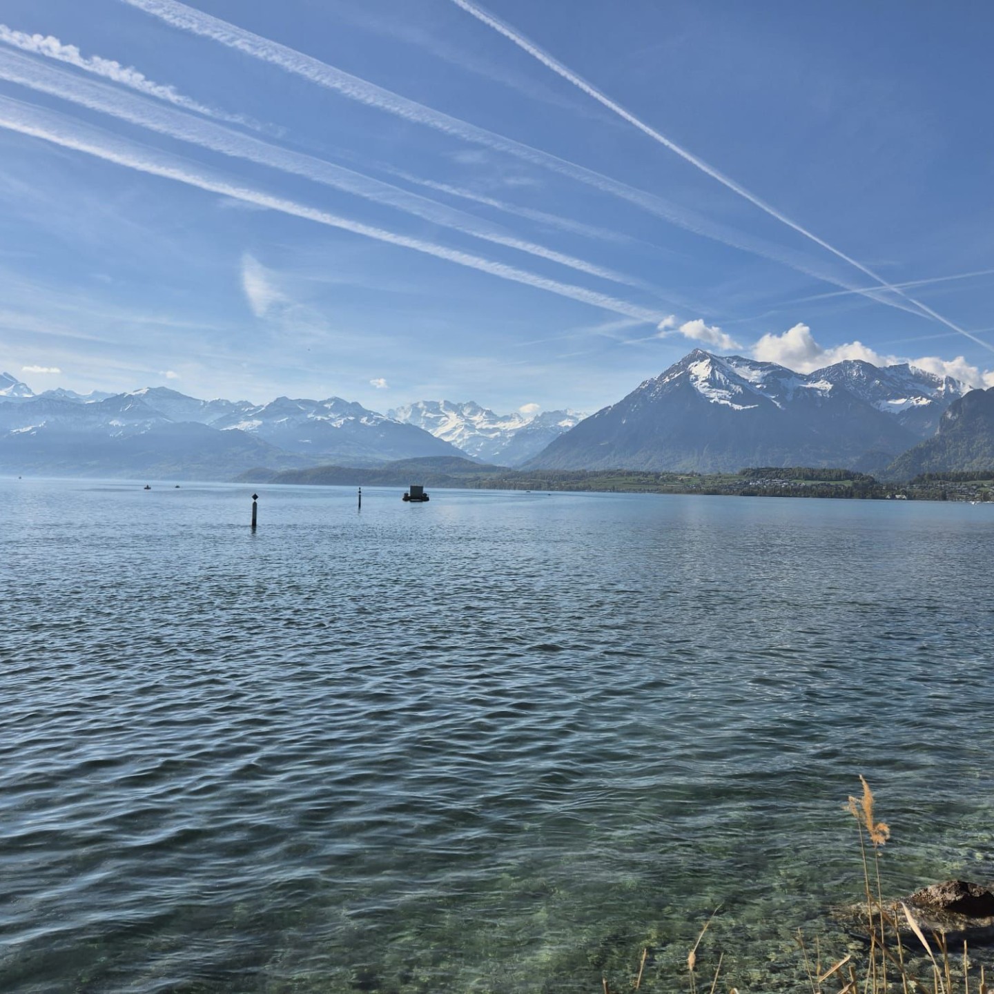 WhatsApp Image 2026-04-20 at 00