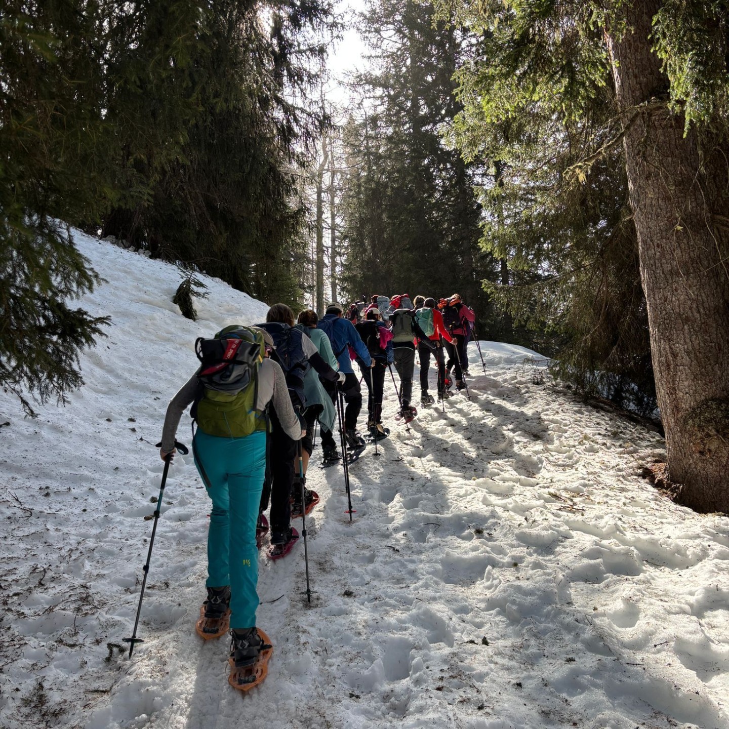 2740a0a8-723d-48bc-9b0e-a53d534f57a2