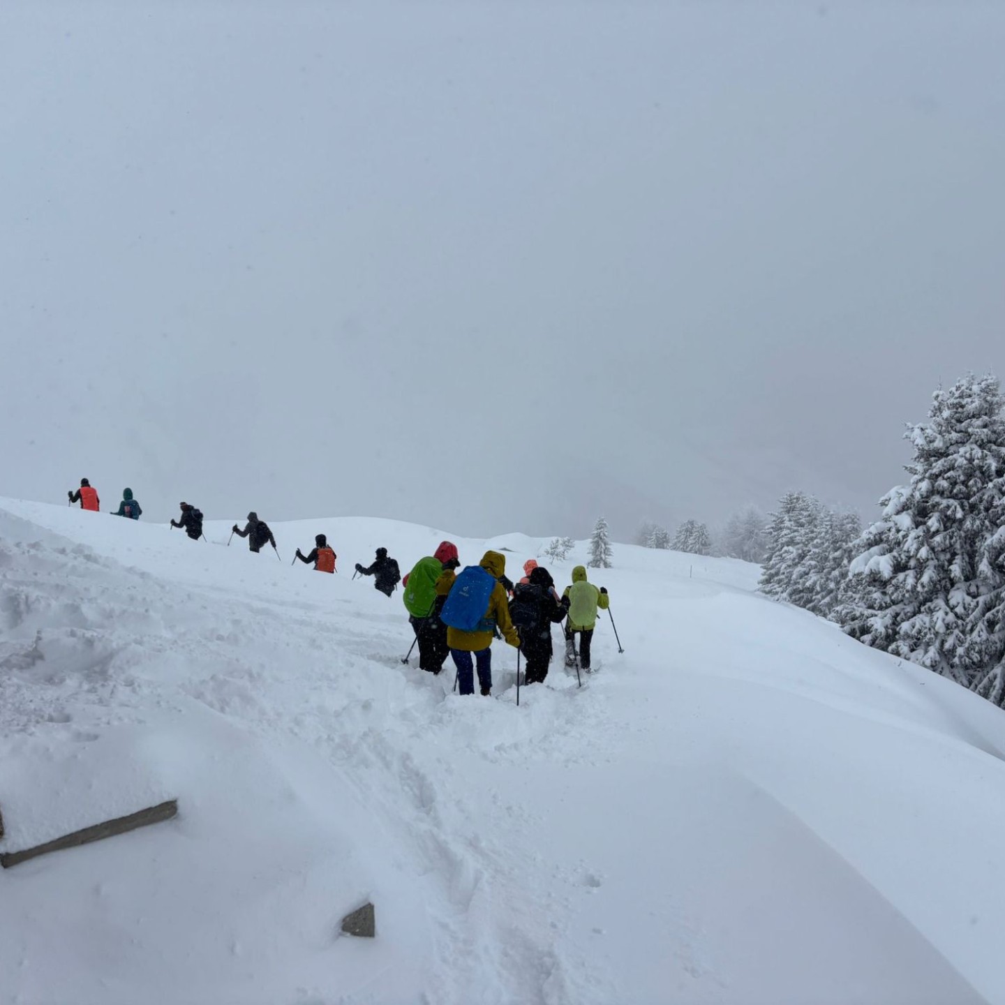 PHOTO-2026-01-10-16-54-57