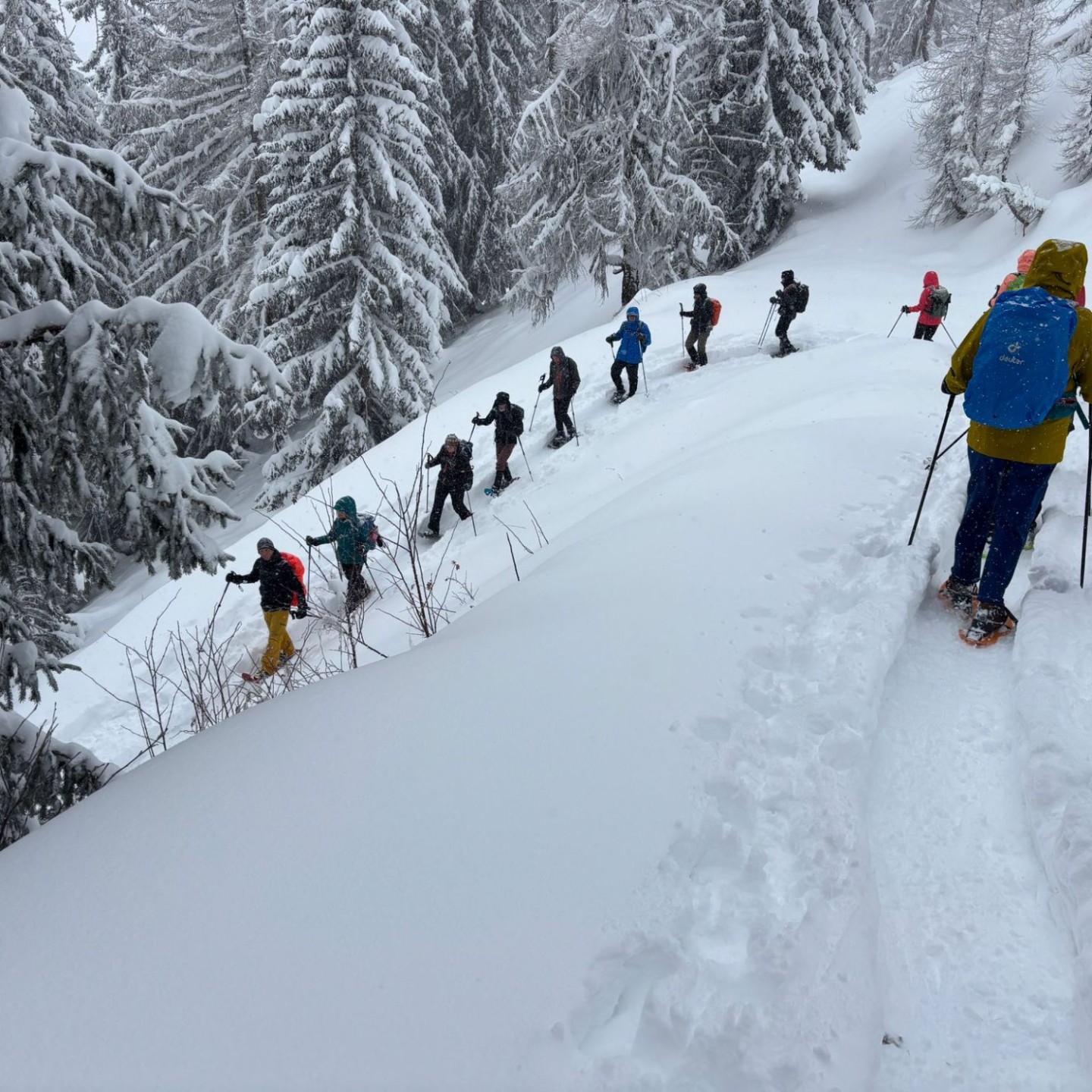 PHOTO-2026-01-10-16-54-56_2