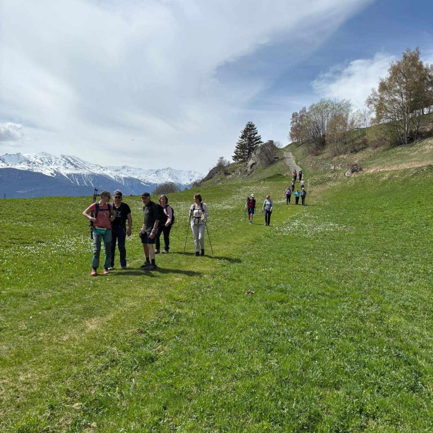 WhatsApp Image 2026-04-17 at 16