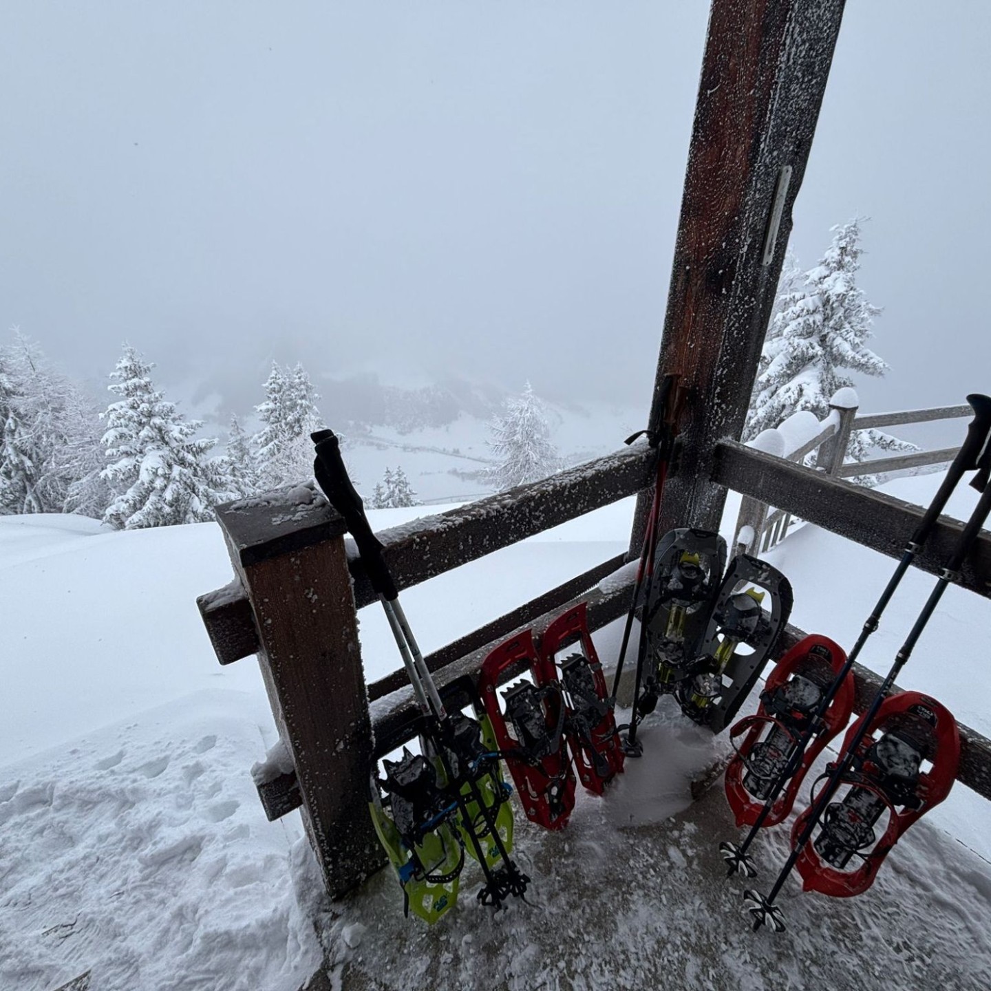 PHOTO-2026-01-10-16-55-07_1