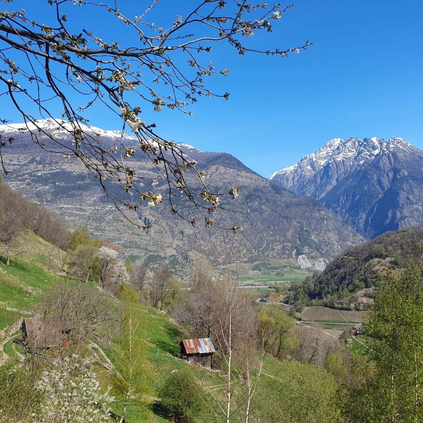 43-R16-Turtmann_Ergisch_Gampel