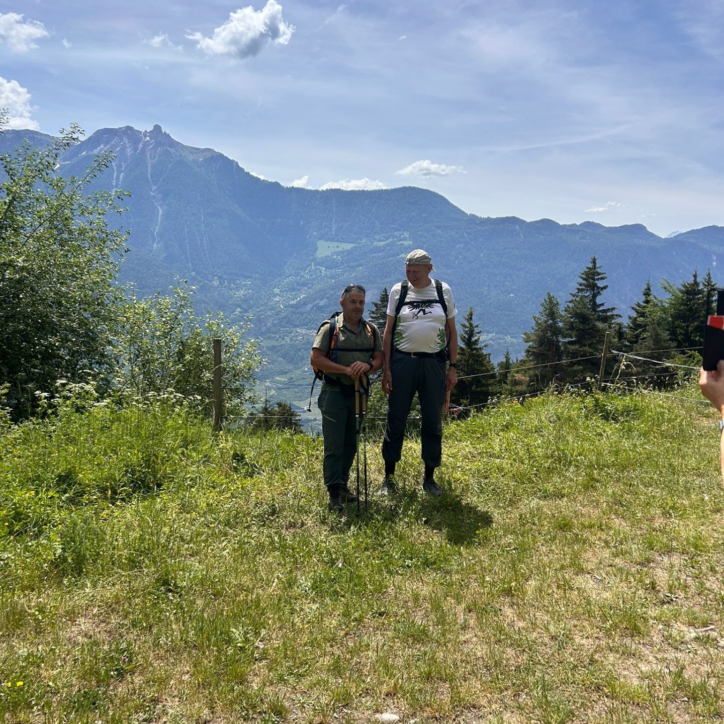 IMG-20260530-WA0031
