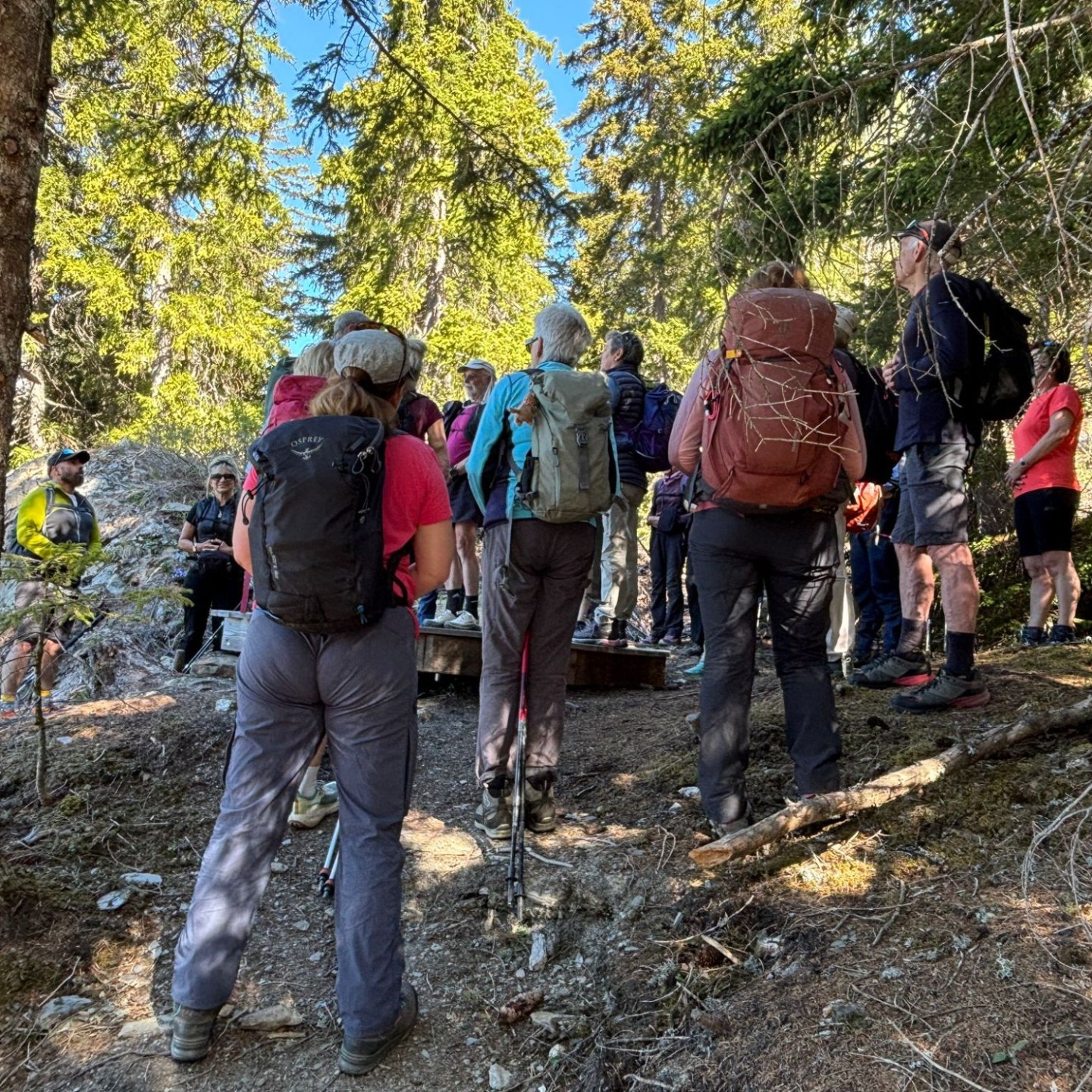 PHOTO-2026-04-25-19-31-38