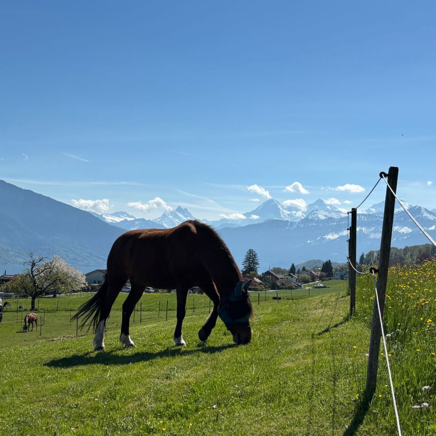 WhatsApp Image 2026-04-20 at 00