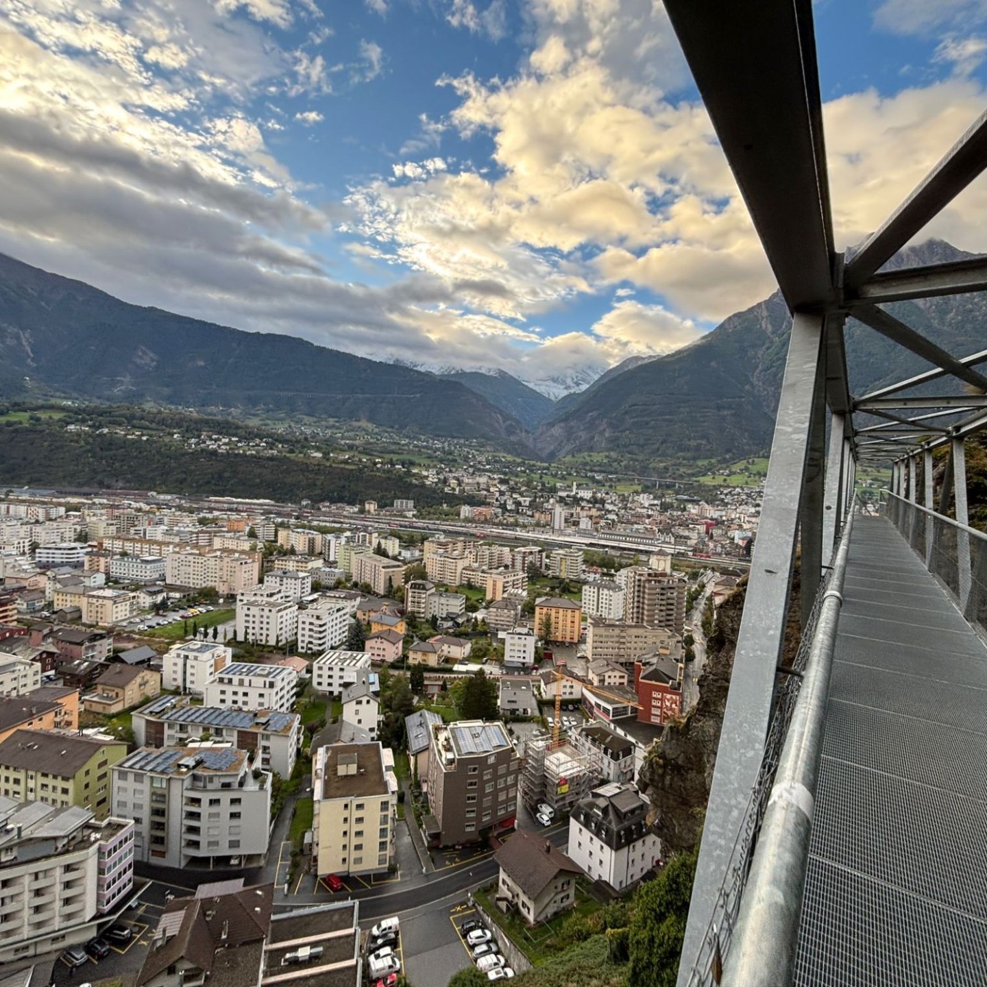 IMG-20251008-WA0003