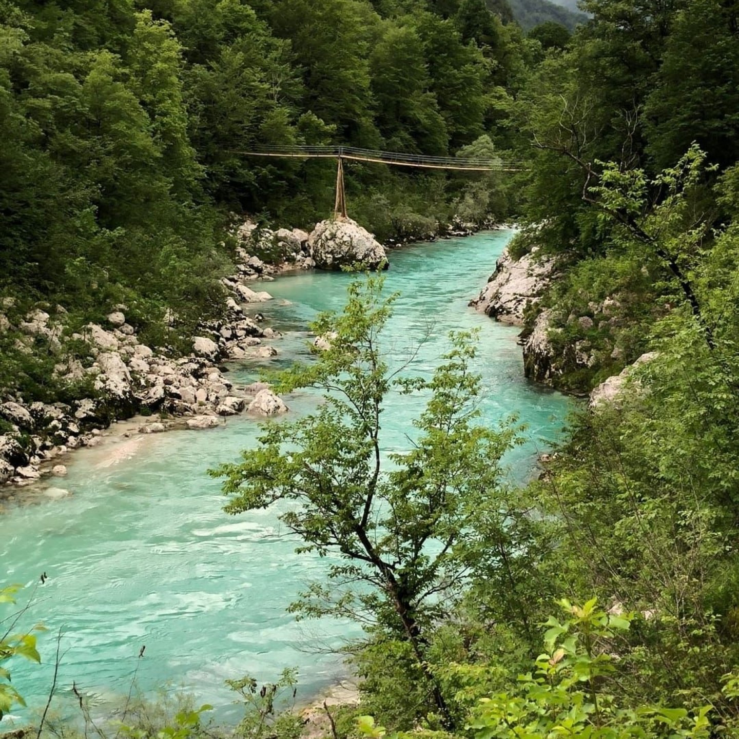 IMG-20250604-WA0027