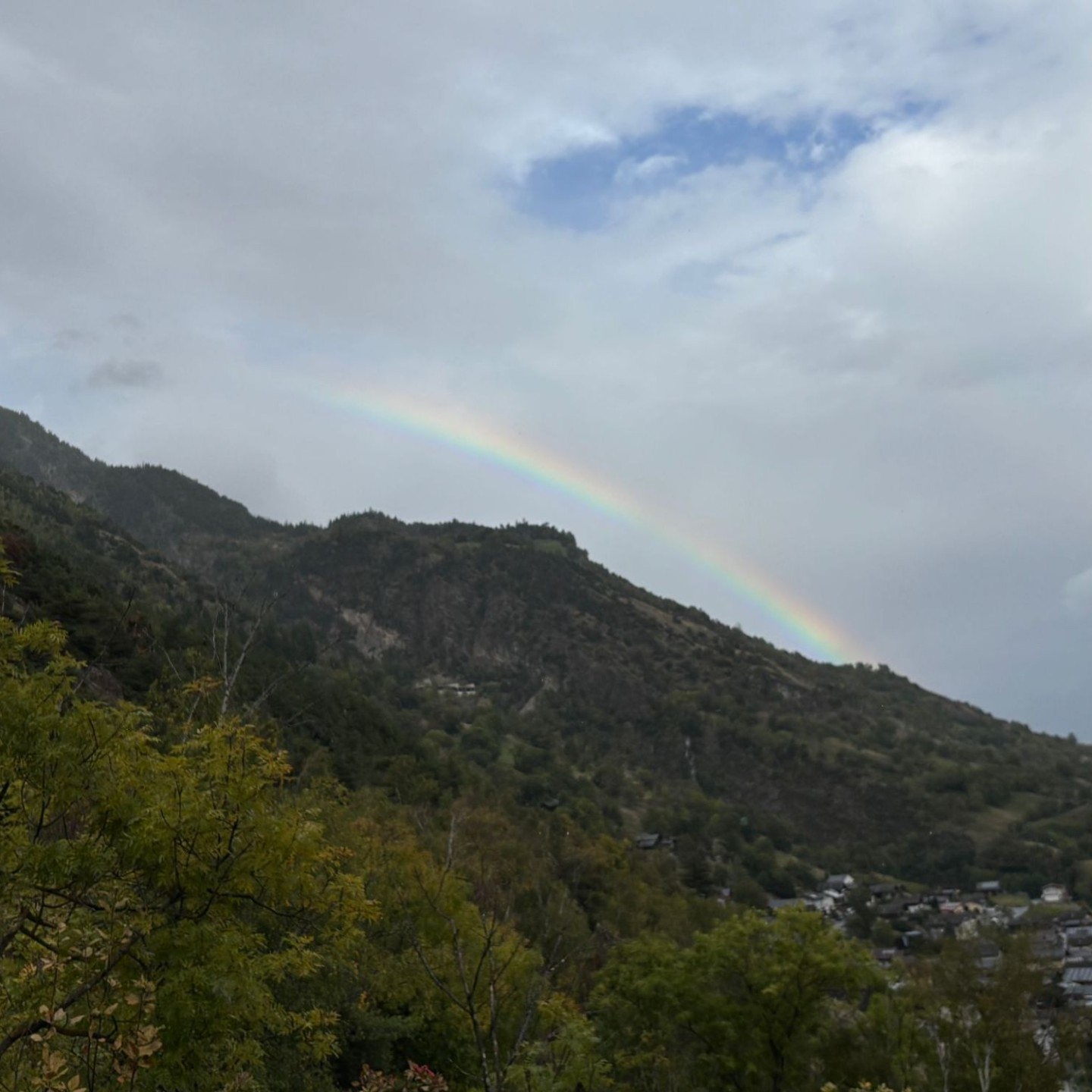 IMG-20251008-WA0046