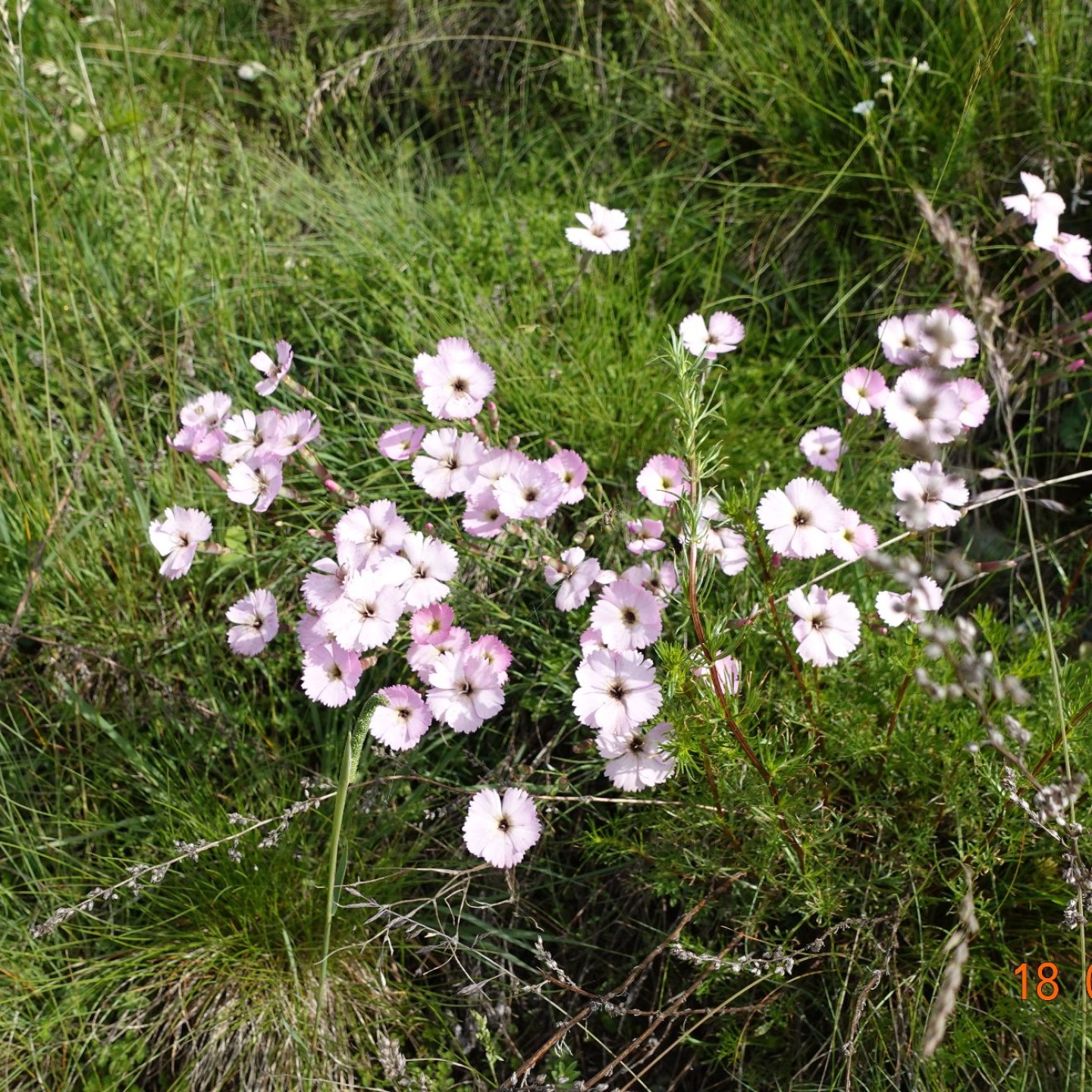 DSC07760