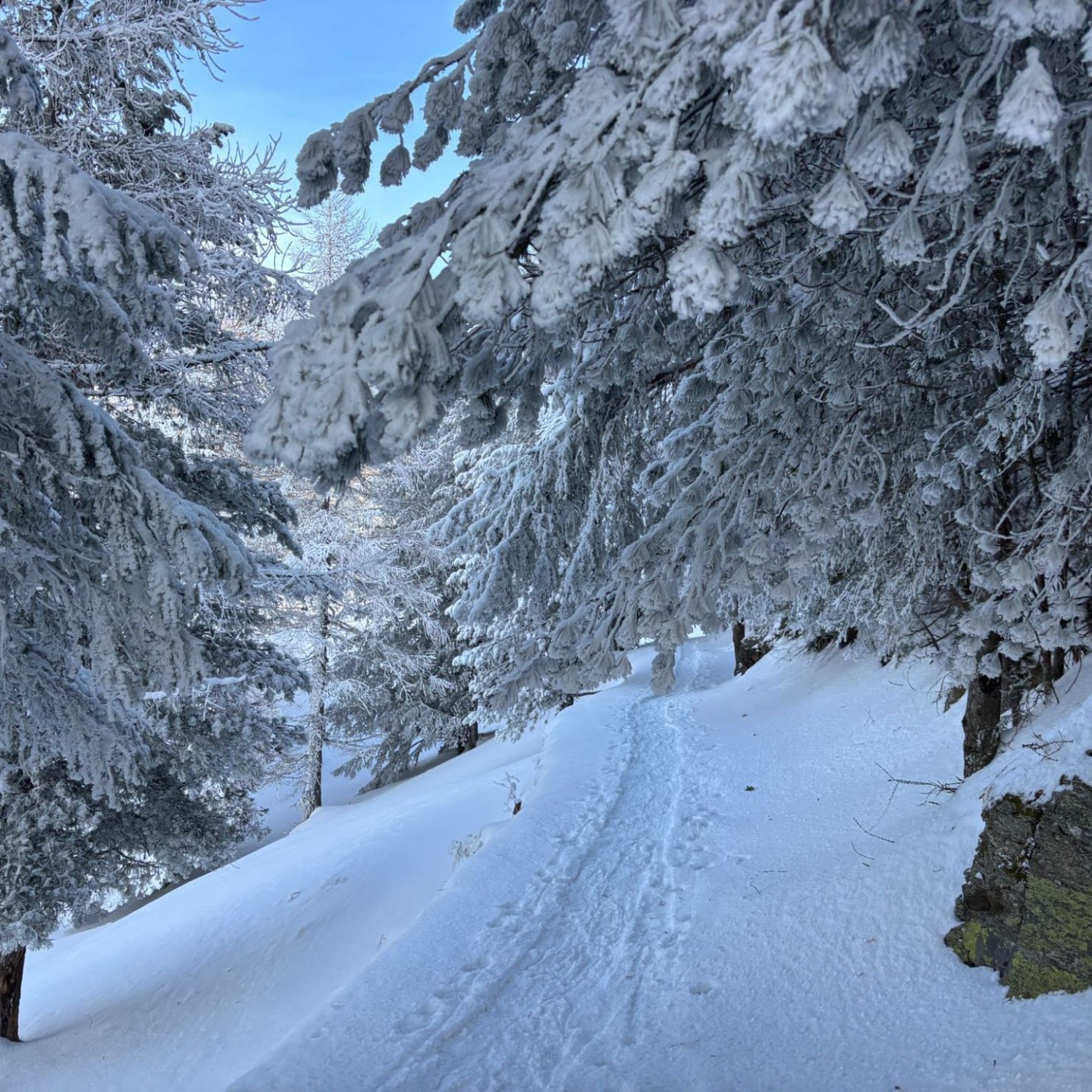 PHOTO-2026-02-02-09-25-50_2