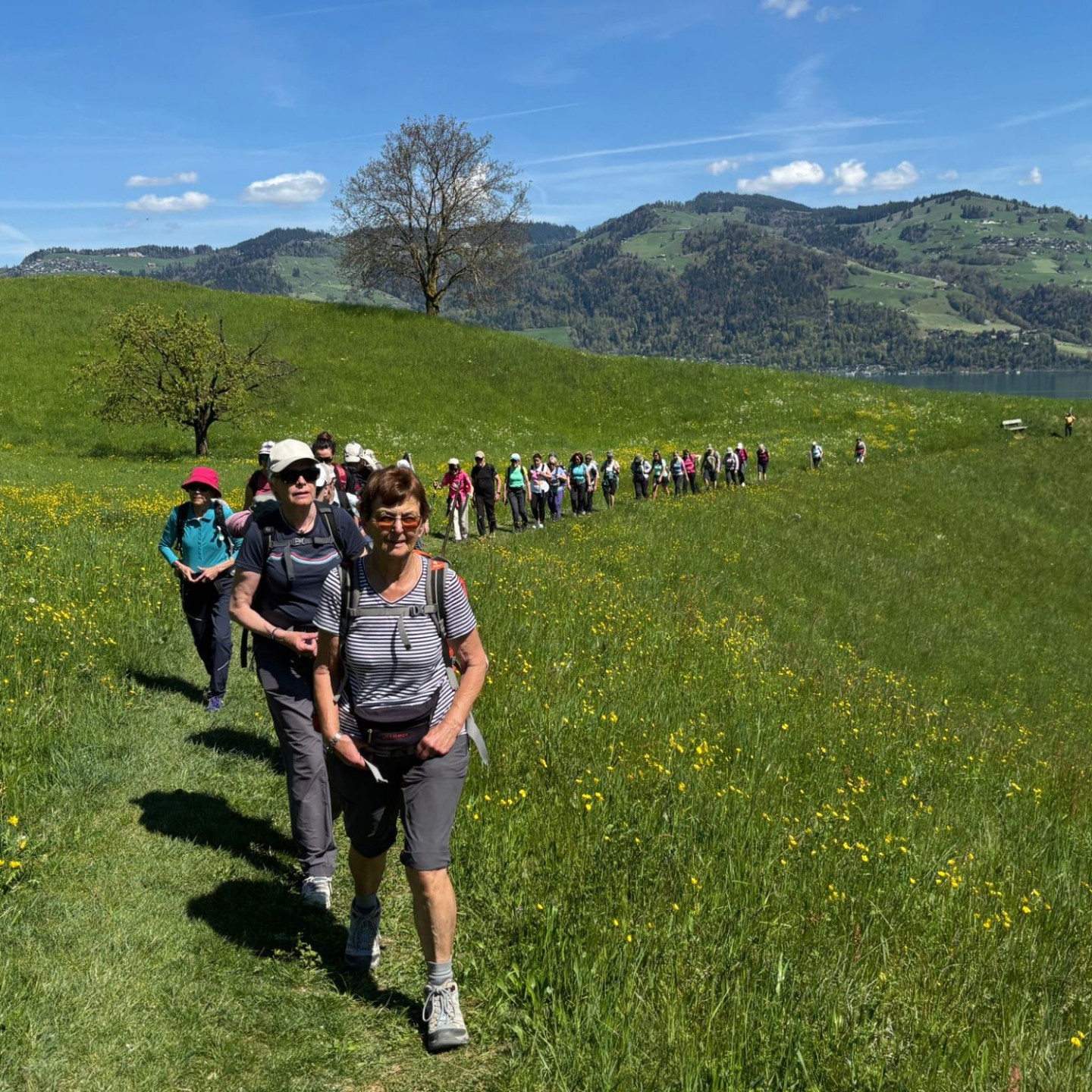 WhatsApp Image 2026-04-20 at 00