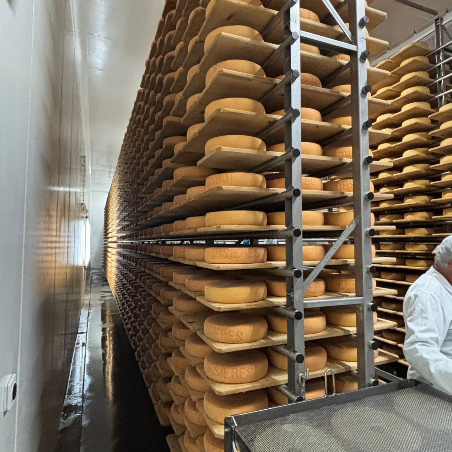 WhatsApp Image 2026-03-11 at 06