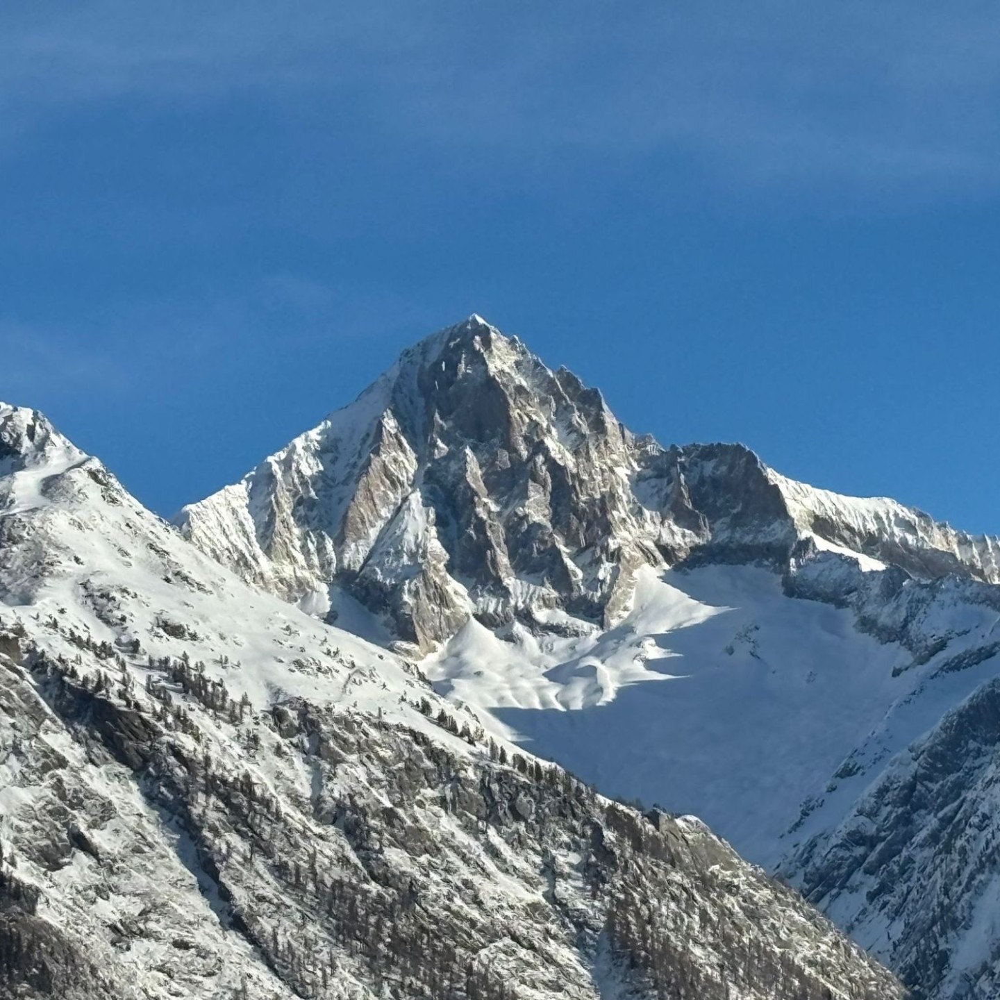 PHOTO-2026-02-02-09-25-49