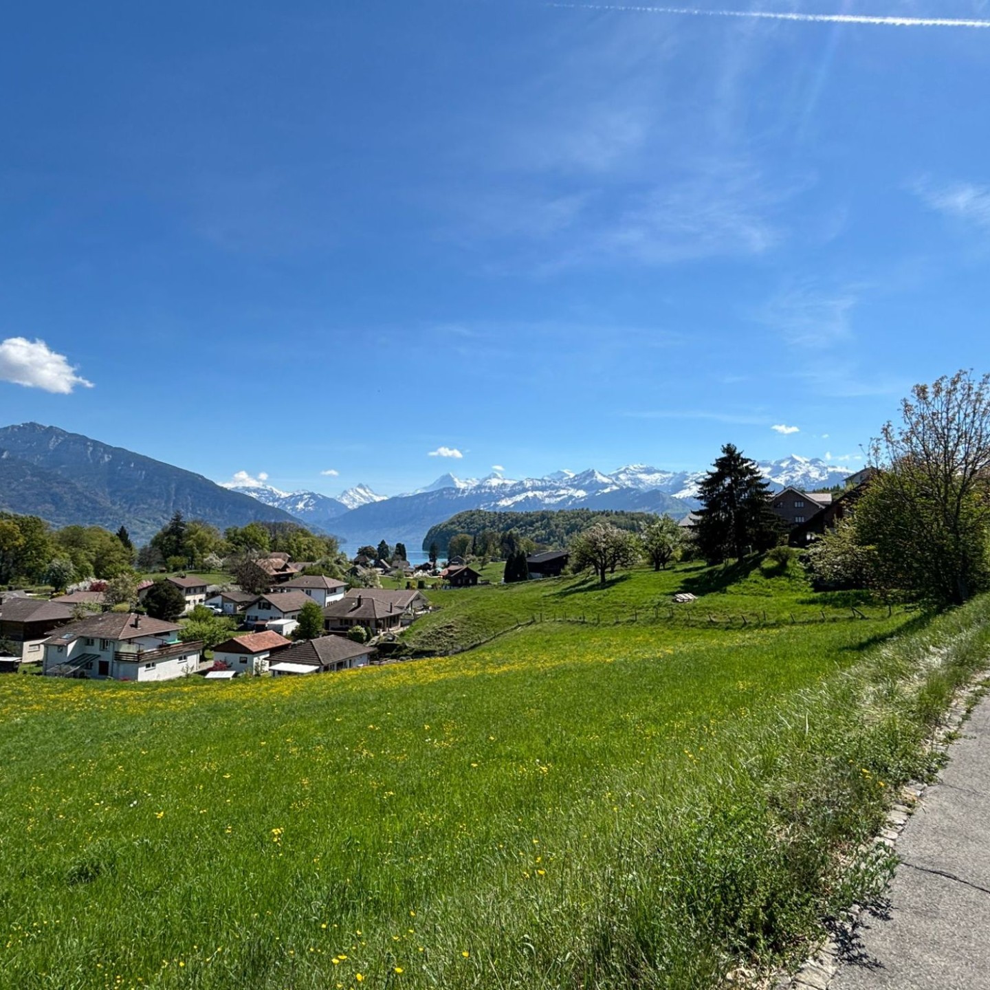 WhatsApp Image 2026-04-20 at 00