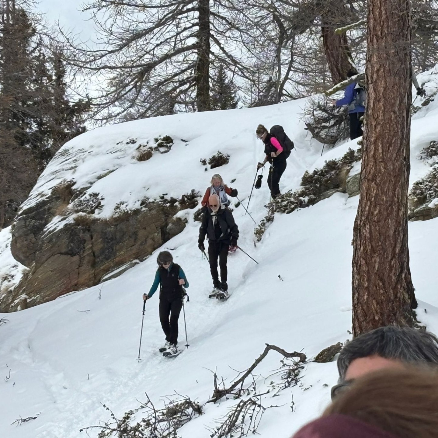 PHOTO-2026-01-17-18-44-11