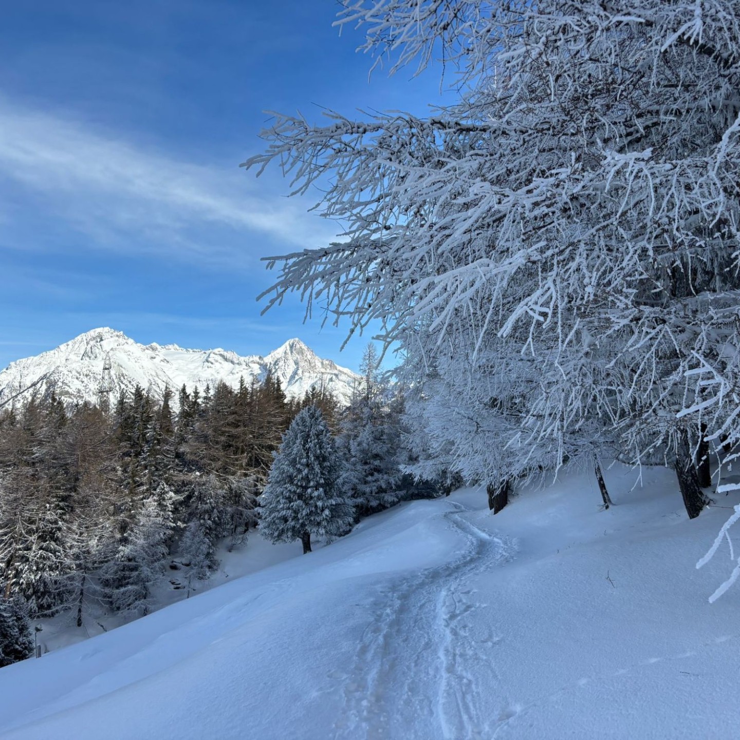 PHOTO-2026-02-02-09-25-52_1