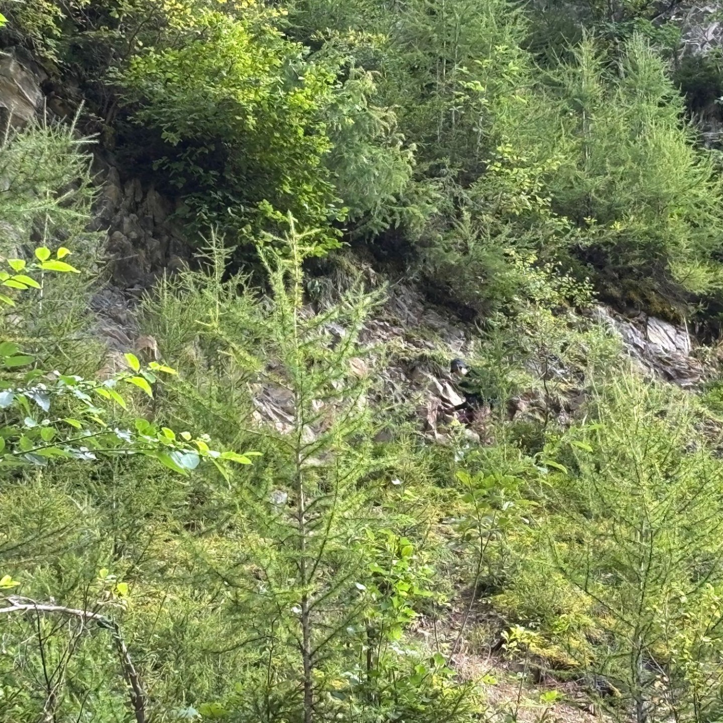IMG-20250918-WA0100