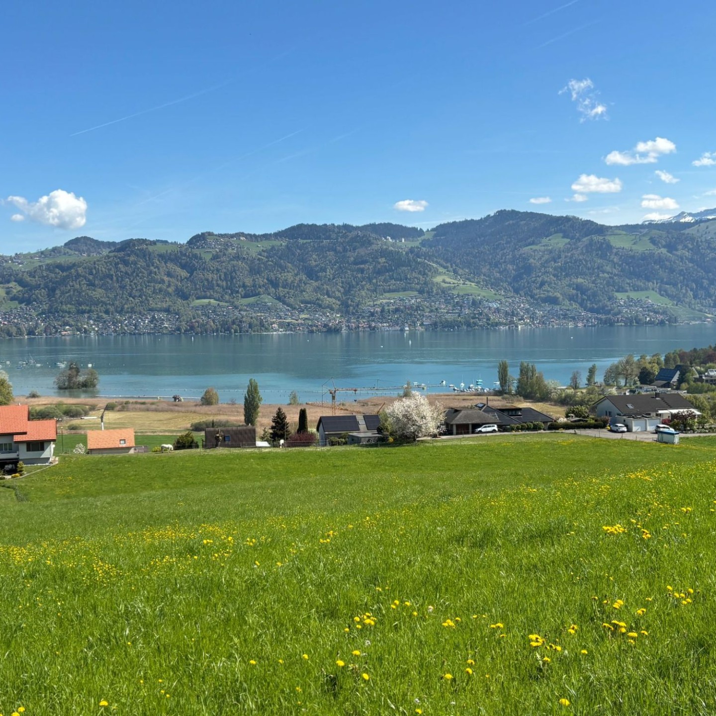 WhatsApp Image 2026-04-20 at 00