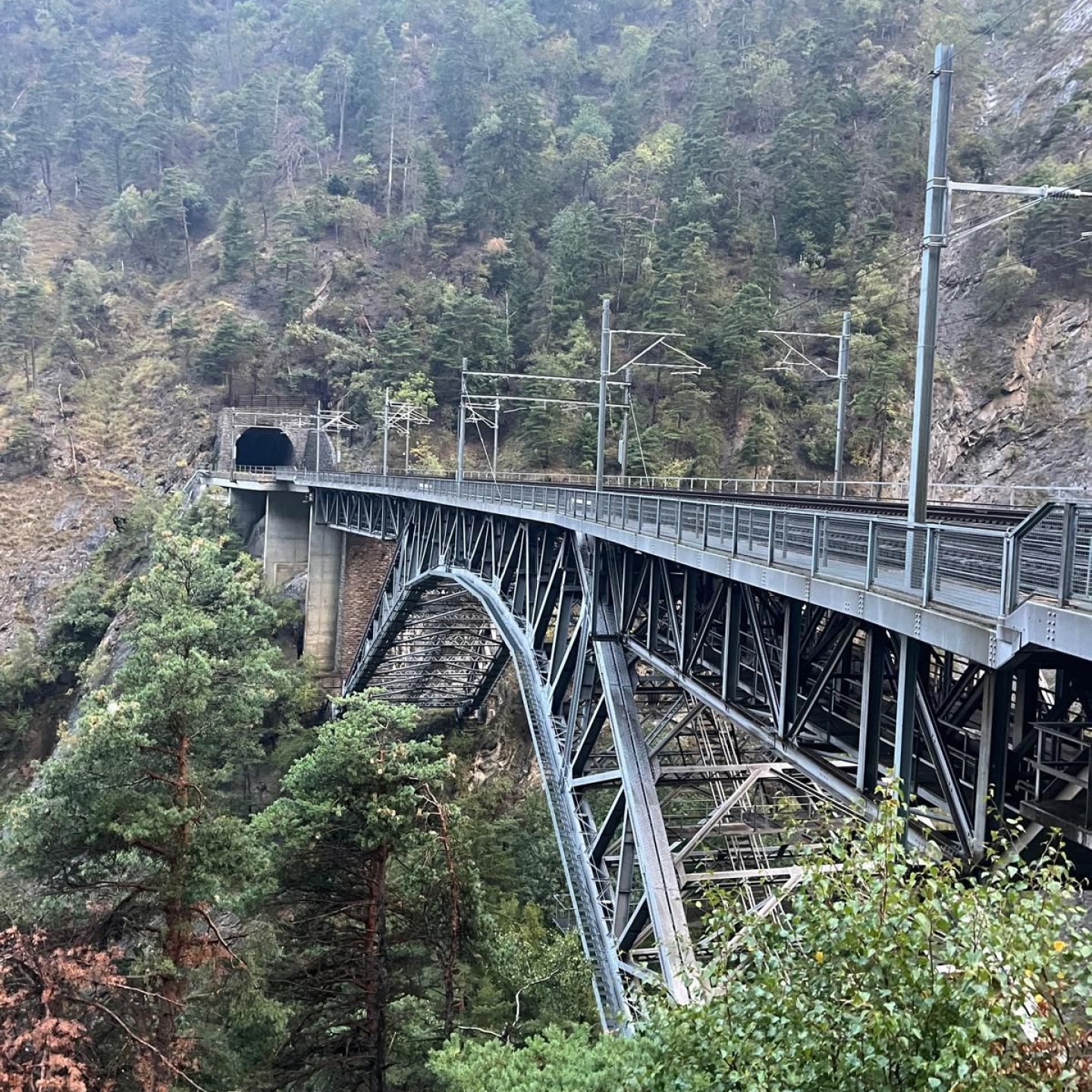 IMG-20251008-WA0105