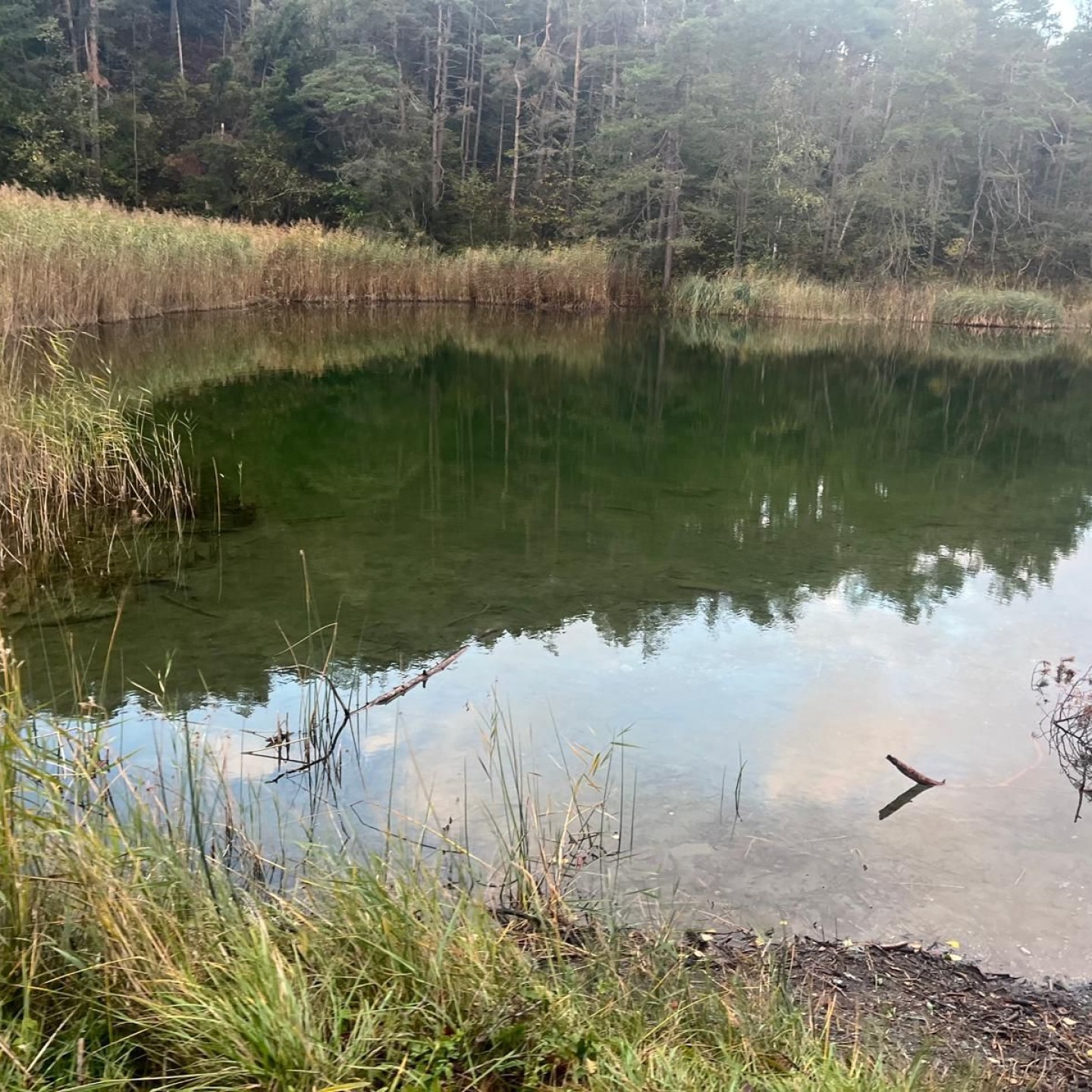 IMG-20251008-WA0091