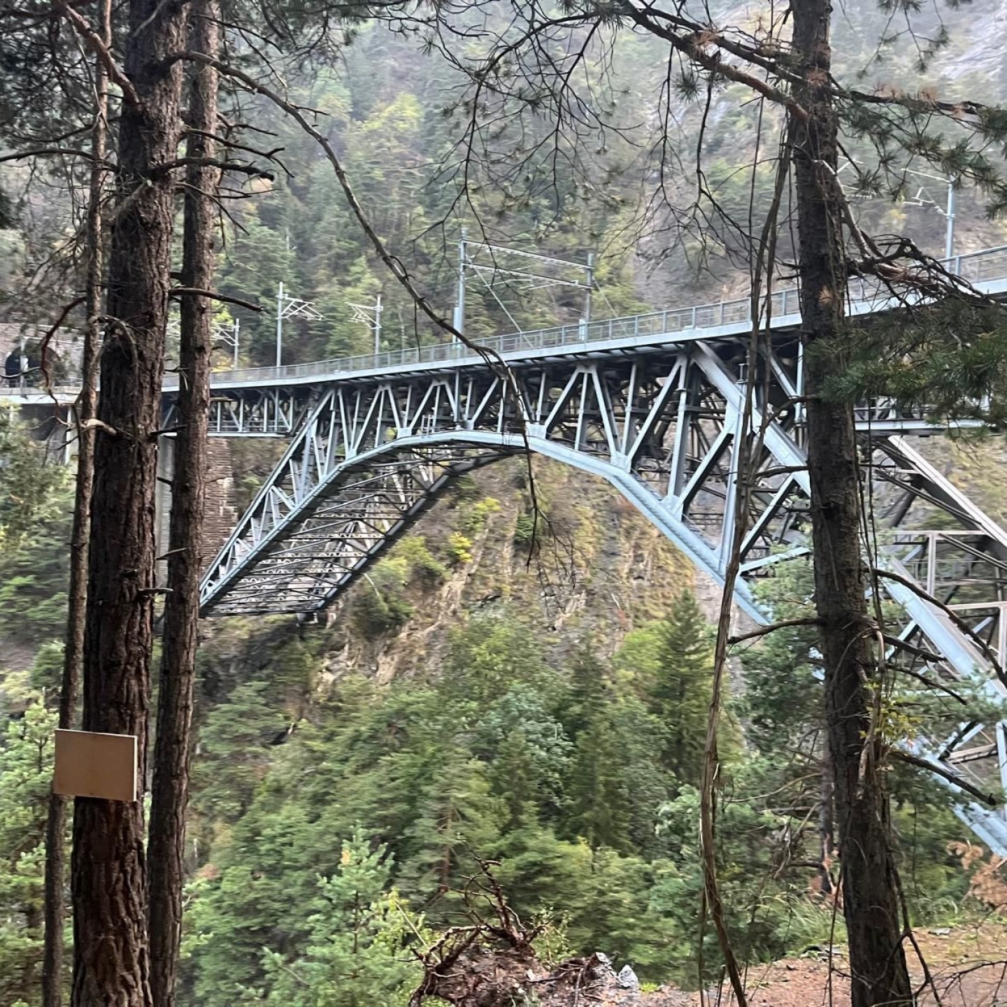 IMG-20251008-WA0106