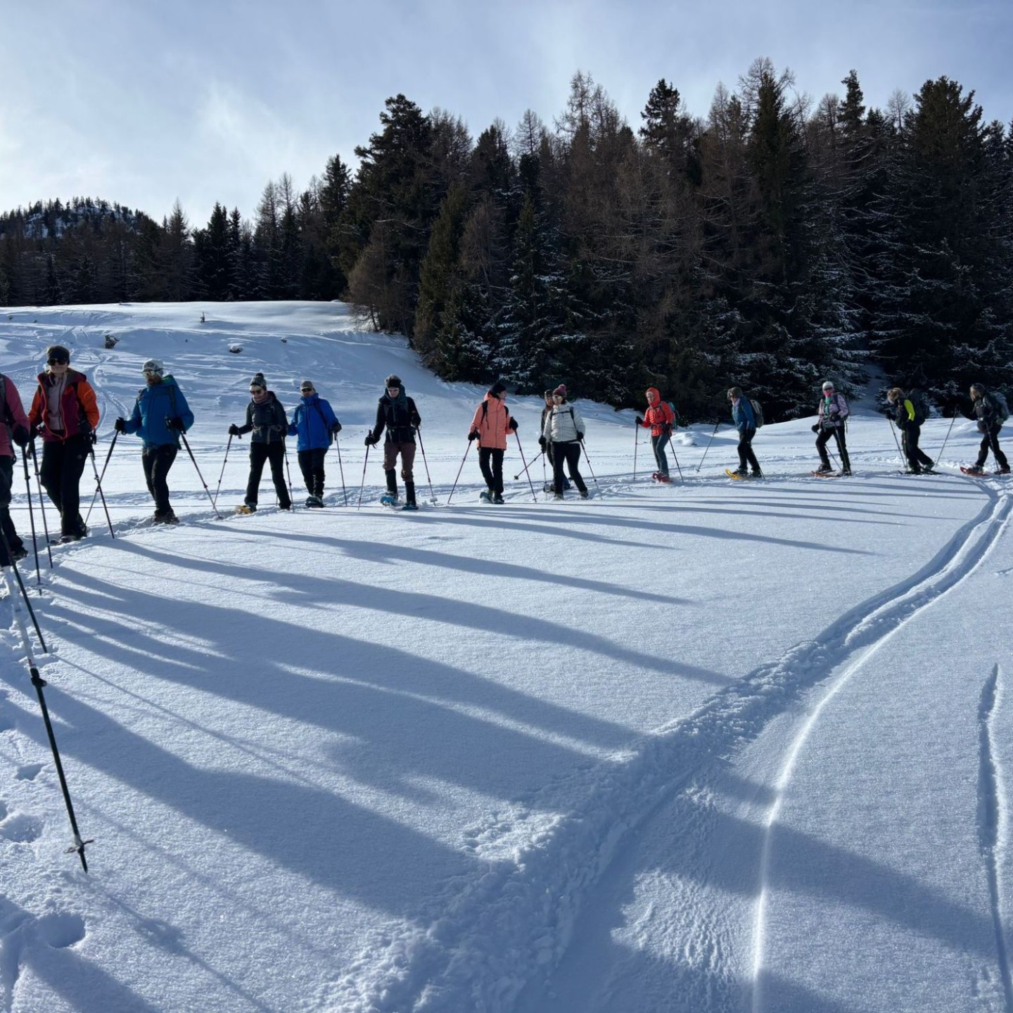 PHOTO-2026-02-02-09-25-50_1