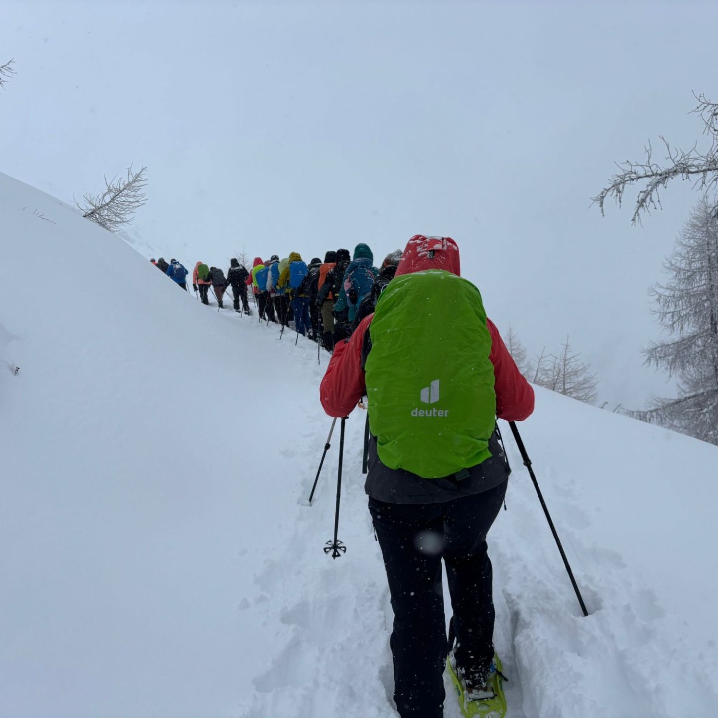 PHOTO-2026-01-10-16-55-09_1