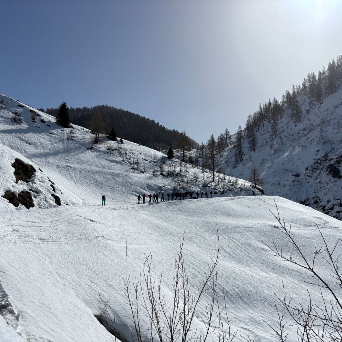 Cc84a717-d0f4-4f86-b287-4cf9ba14c9b4