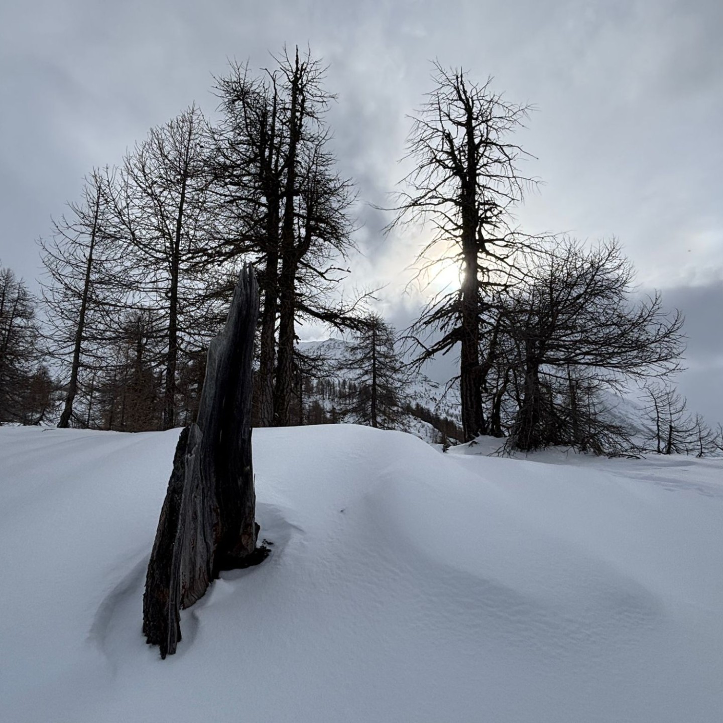 PHOTO-2026-01-17-18-44-09