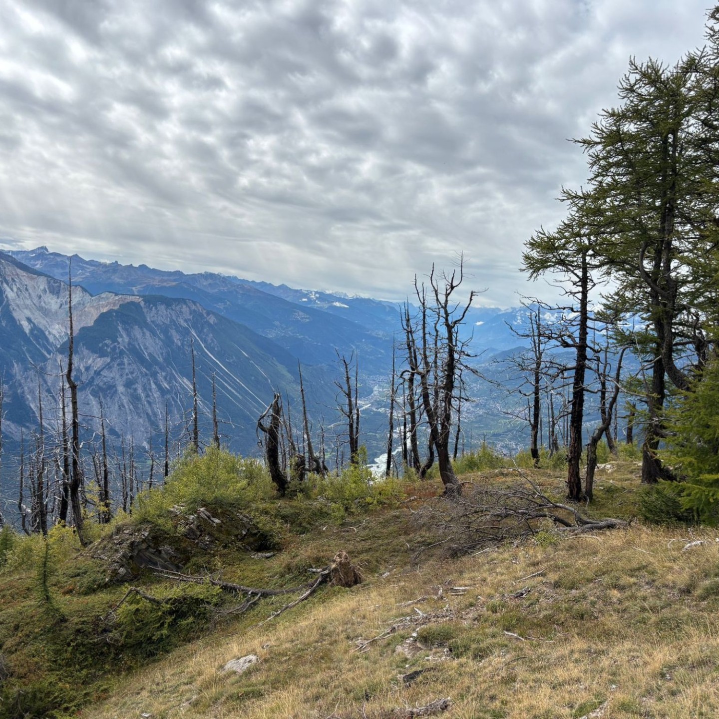 IMG-20250918-WA0086