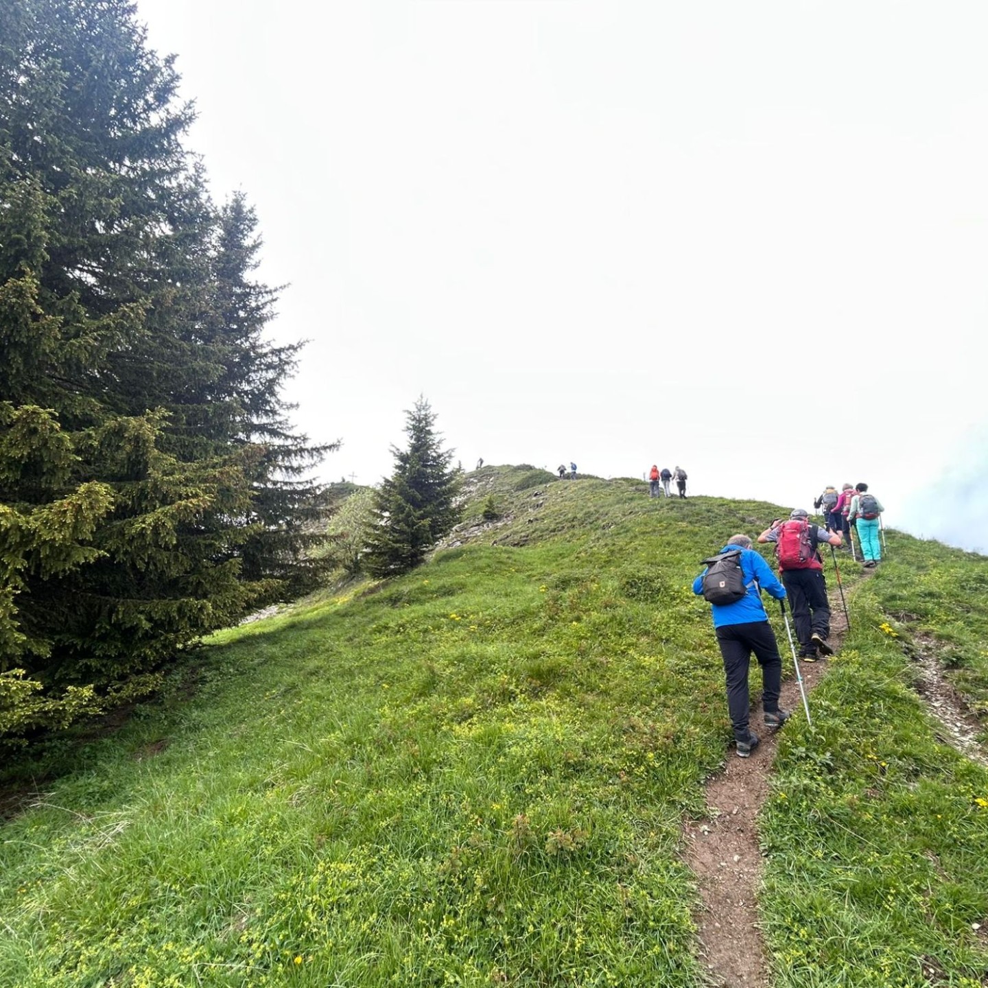 IMG-20260605-WA0018