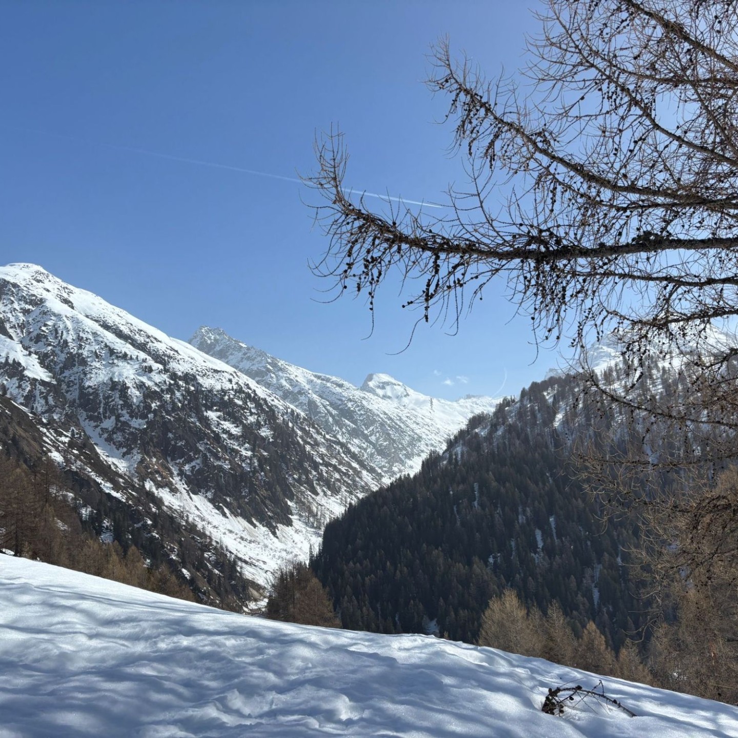 Bc469777-960f-4688-9a39-dd72e61c20ed