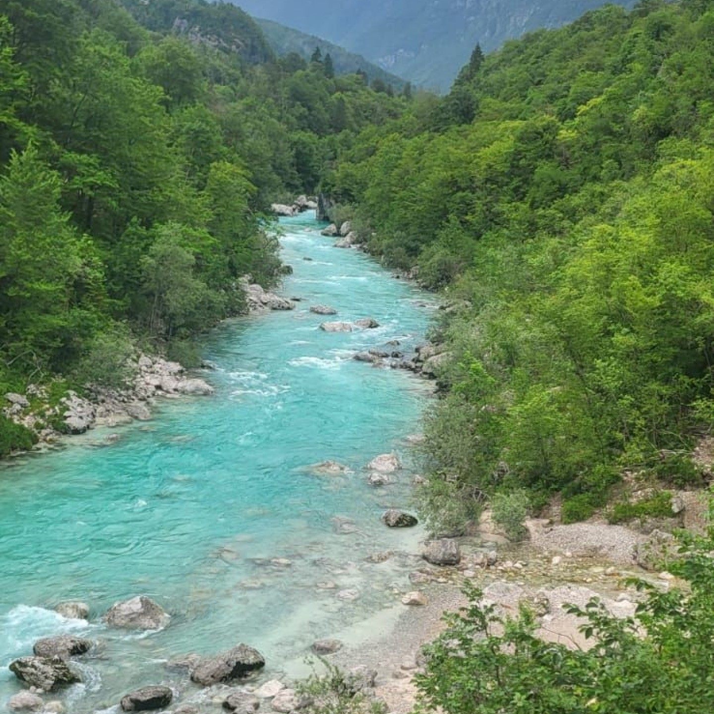 IMG-20250604-WA0018