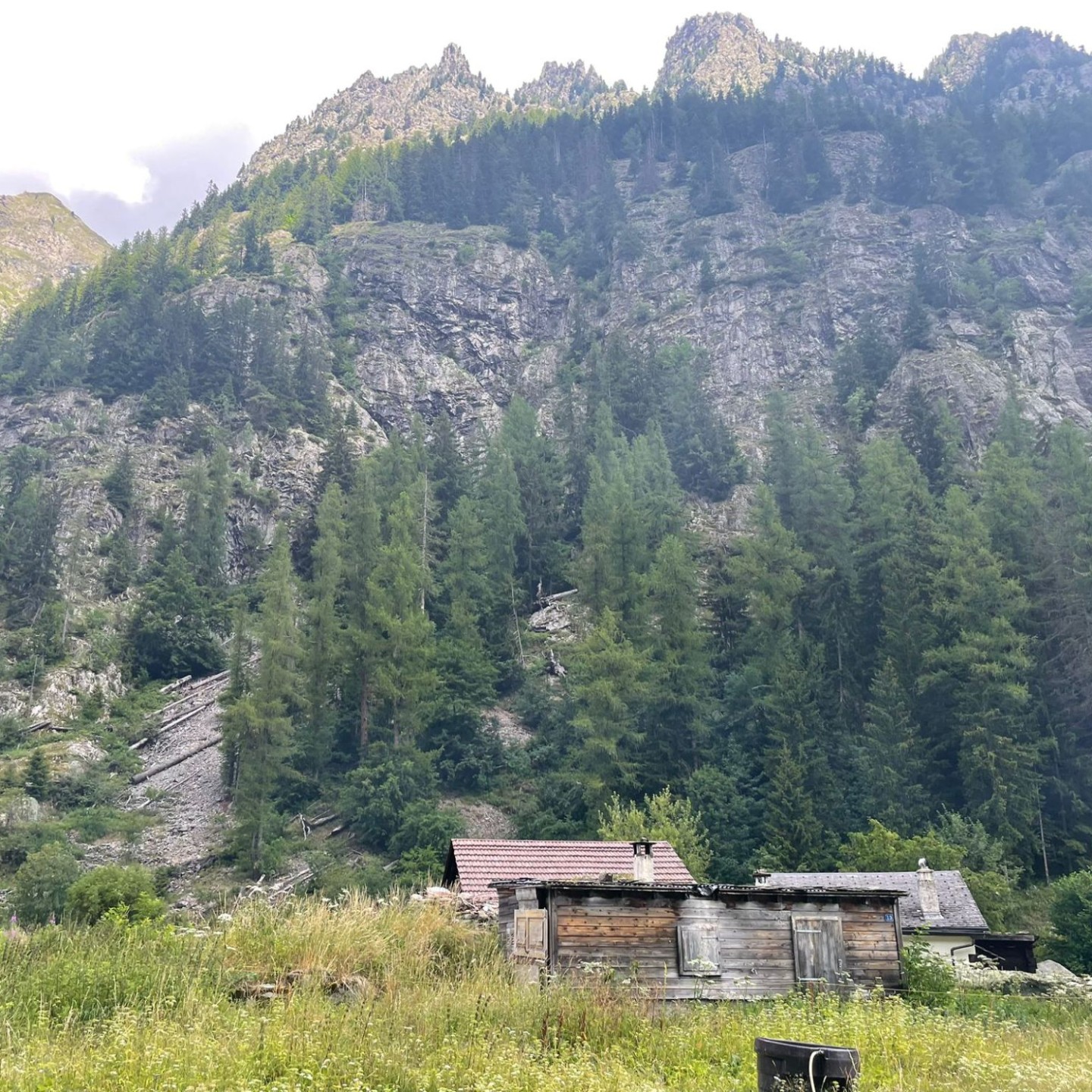 IMG-20250713-WA0015