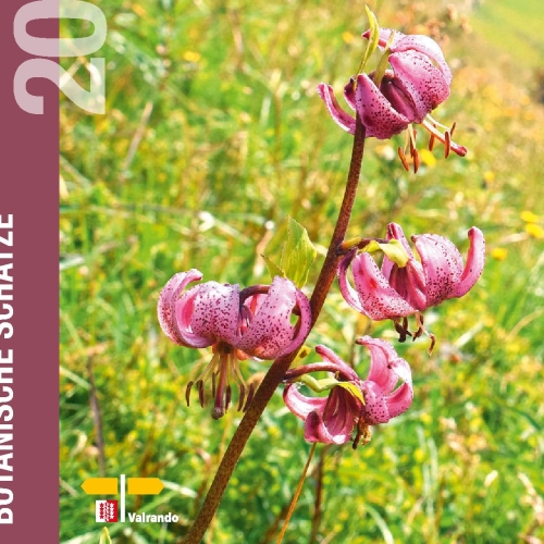 BROCHURE N°20