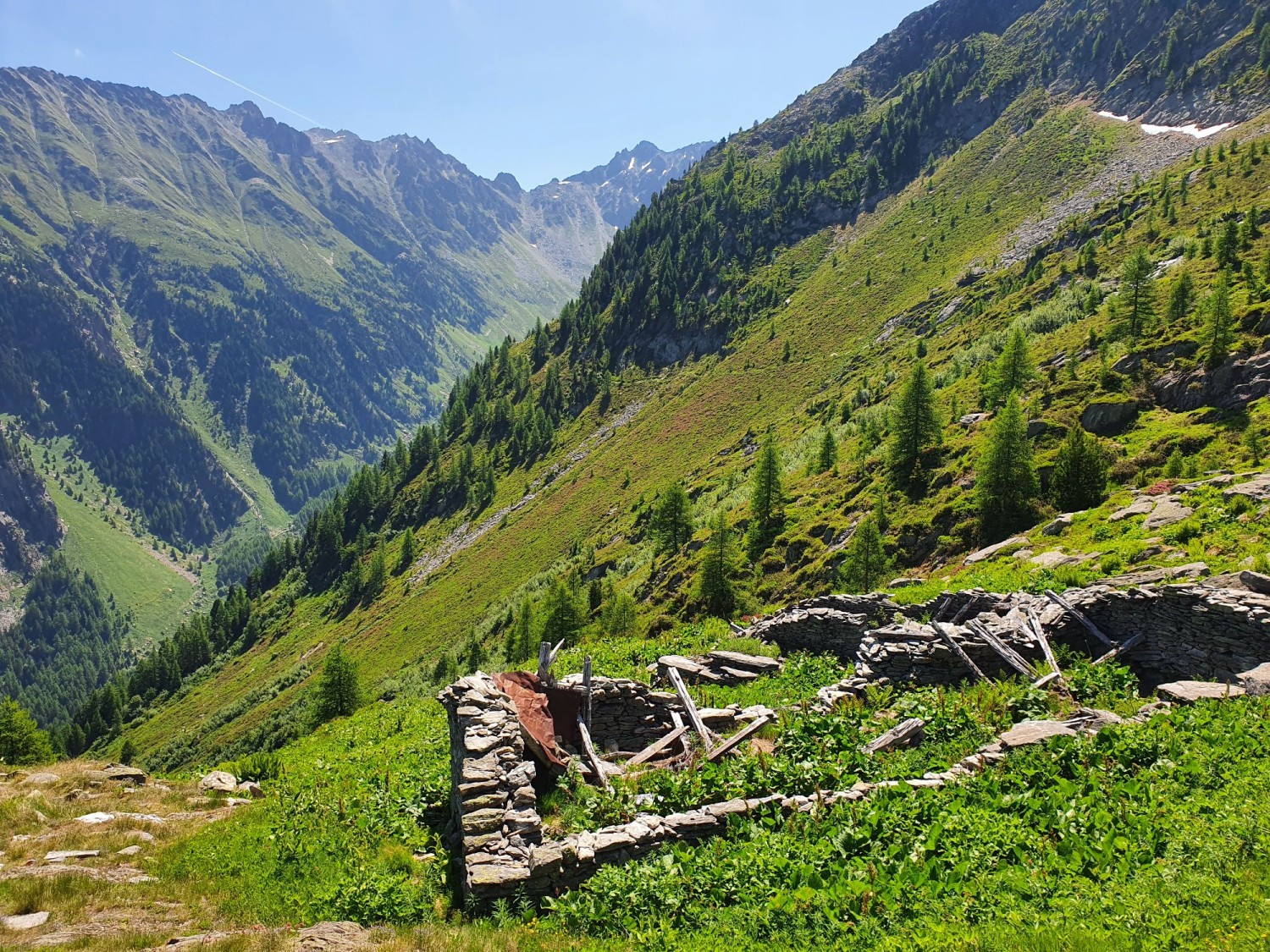 Chemin panoramique entre les Grands et le col de Balme