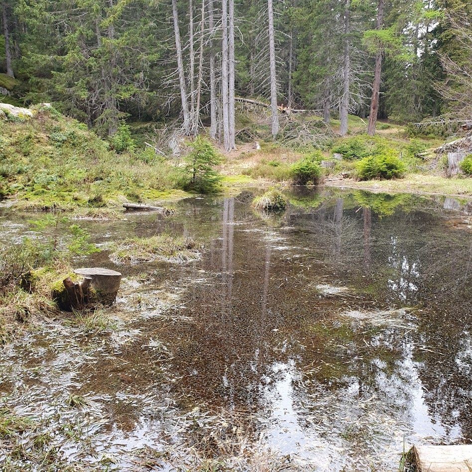 Marais du Coeur