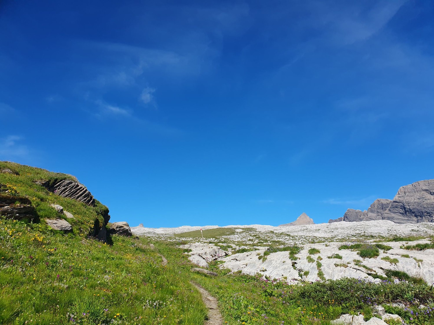 Début du chemin dans les pâturages