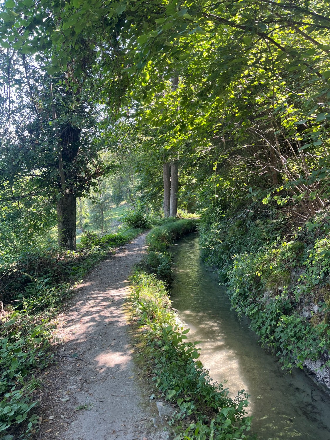 Bisse de Riccard
